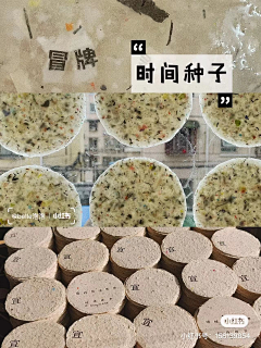 vivita采集到美陈