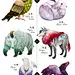 猫头鹰 兔子 熊 狼 鸟 鹰  24 solar term into animal character designs, merged with featured vegetables, fruits, or weather changes.2014