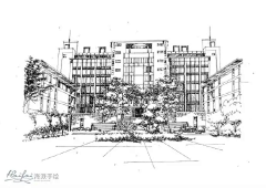 花心轻触窈窕采集到钢笔画