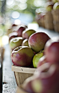 Green and Red
Apples