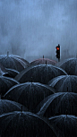 雨
