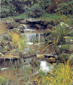 黄panpan采集到水