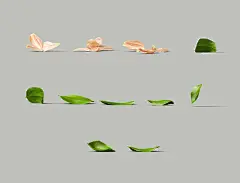 点击图片进入下载全套PSD：护肤品 化妆品 瓶子 VI模型 VI设计 名片 贴图 瓶子 瓶体 彩妆 棉花糖 手表 盆栽 花盆 电话 办公用品 剪刀 相机 样机 香皂 小棕瓶 粉刷 名片 电脑 手机 戒指 浪漫 可爱 包装效果图 贴图 包材 小清新 产品包装 俯视 文艺 清爽 唯美 广告 商业海报 设计 广告设计 海报设计 (6)产品 拍摄 道具 展示 样机 贴图 模型 静物 摆拍 场景