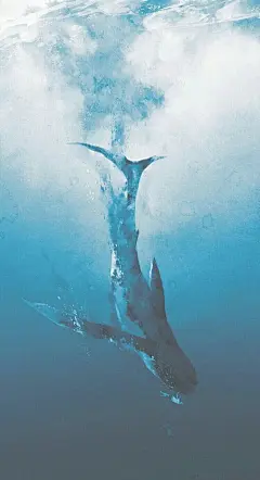 有没有第一次见就让人大喊卧槽的壁纸？ - 知乎 : 有问题，上知乎。知乎，可信赖的问答社区，以让每个人高效获得可信赖的解答为使命。知乎凭借认真、专业和友善的社区氛围，结构化、易获得的优质内容，基于问答的内容生产方式和独特的社区机制，吸引、聚集了各行各业中大量的亲历者、内行人、领域专家、领域爱好者，将高质量的内容透过人的节点来成规模地生产和分享。用户通过问答等交流方式建立信任和连接，打造和提升个人影响力，并发现、获得新机会。