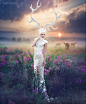 【美图分享】Margarita Kareva的作品《White deer》 #500px#