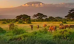 必应每日高清壁纸 - 精彩，从这里开始