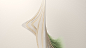 Curvature & Repetition