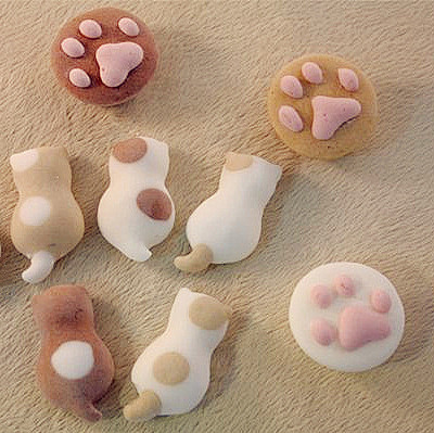 猫肉球棉花糖 三毛猫的背影与猫肉球