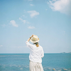 爱美的蝈蝈采集到排版