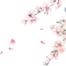 采集图片