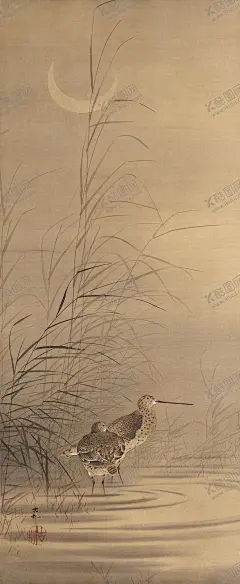 野鸭 【酷图网】国画,工笔画,工笔花鸟,花鸟,花鸟图,山水画,水墨画,国画临摹,工笔花临摹,临摹,临摹素材,鸿雁,大雁,猴子,猴子捞月,仙鹤,大鹅,鹅,鹦鹉,猫头鹰,野鸭,野鹤,鹤,金鱼,鱼,锦鲤,燕子,白鹭,鹰眸,鹰