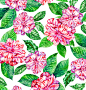 Camellia, watercolor, pattern : design process of a vibrant floral tropical pattern for fashion or interior.