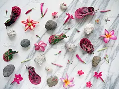 带有水疗花、禅意石、贝壳隔离在白色大理石上的横幅或壁纸。