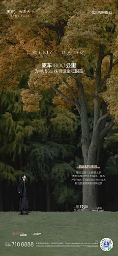 杜愉悦采集到高级感