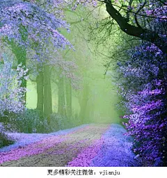 浅浅时光，几许温暖。拥一份恬静安然，用心灵的素笔，轻描流年的芬芳。听风吟起，守住一颗宁静的心，不染悲伤。感谢生命里的懂得，聆听岁月里的美好，一路向暖，静候花开。
