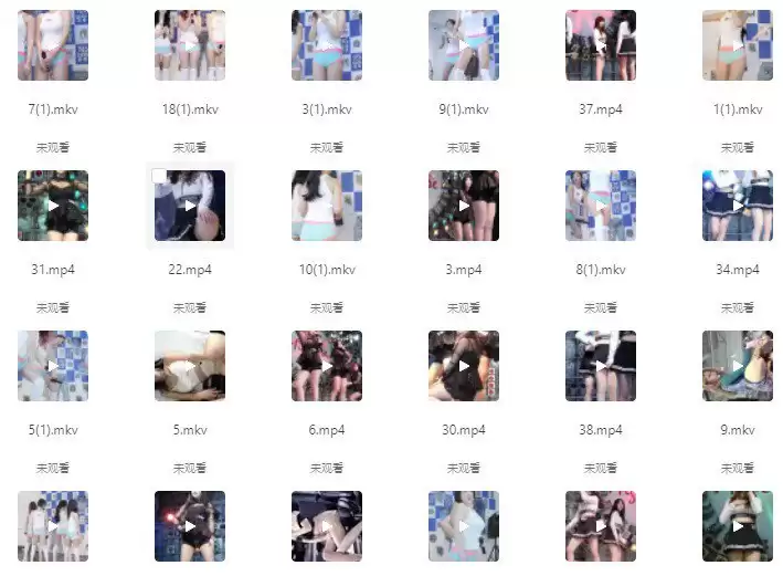 【舞蹈】韩国比基尼美女 女团饭拍热舞 高清合集-幻想写真