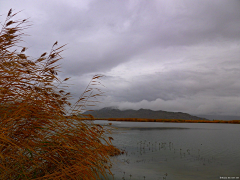 Yaobinnj采集到2012年十一的喀纳斯