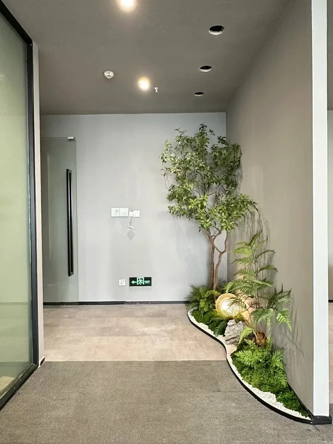 公司入门口马醉木绿植景观～ - 小红书-花瓣网