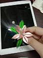 来自分享