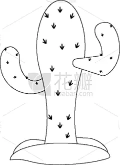仙人掌,黑白图片,可爱的,华丽的,小的,自然美,尖的,装饰物,沙漠,花