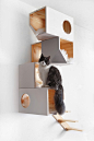 Catissa猫咪阁楼 Catissa cat tree by Ilshat Garipov - 灵感日报 : 猫咪们时而玩耍淘气，时而害羞孤僻，来自爱沙尼亚的设计师Ilshat Garipov根据猫咪们这一天性，为其量身设计了一款树屋——Catissa cat tree，一个固定在墙壁上的猫咪躲避屋。Ilshat自己养了四只猫，一开始的设计是为了解决这些家伙的日常游乐问题，随着设计的深入成熟，逐渐变成了产品……