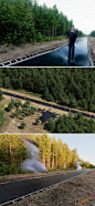 :【这个是安装在俄罗斯一公园内的蹦床轨道，TA有50米长，游客可以在上面蹦着快速奔走！哇，小盆友们的乐园哟！国内公园要不要也效仿一下呢！……】