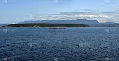 哈伍德岛的丽贝卡·罗克