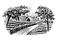 landscape illustrations agriculture woodcuts scratchboard Steven Noble