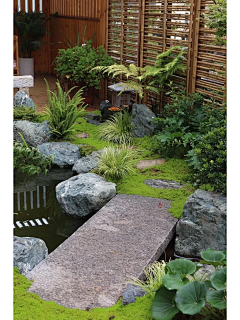 Mark39采集到庭院-禅意植物小景