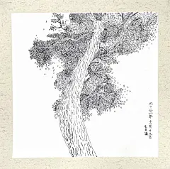 大树2——3年级写生