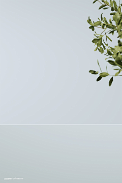 Cc______Zero采集到Web-banner