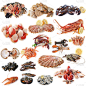 海产,甲壳动物,垂直画幅,贻贝,生食,白色背景,组物体,明虾,背景分离,螯虾