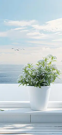 生活随景 窗边绿植壁纸