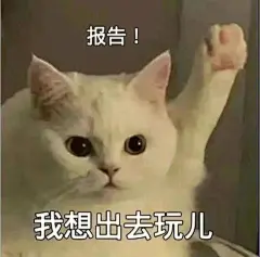 好想出去卖表情包的搜索结果_百度图片搜索