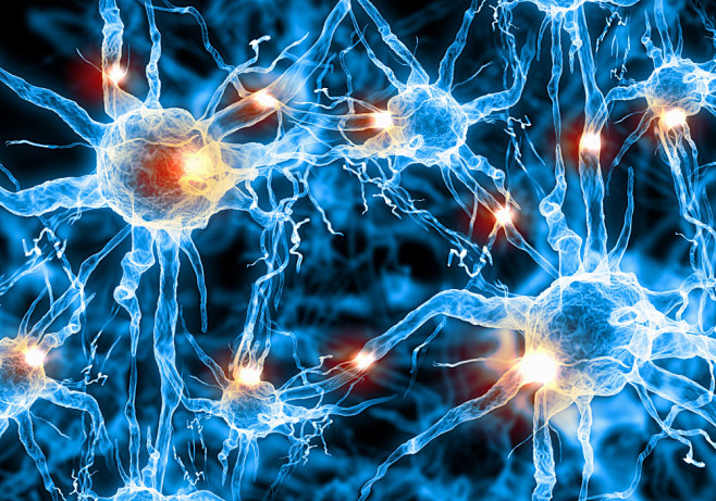 神经元，细胞，信息传达