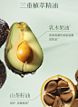 气味探索润养香氛护手霜喷雾精华乳补水保湿滋润清爽不油腻秋冬季-tmall.com天猫