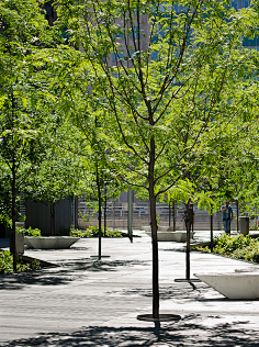 compulse memorial桃子p采集到文本表达和排版分析s漂浮的石头采集到