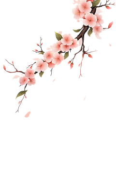 Y奥利奥采集到元素