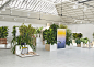 Big-Game designs indoor oasis for Prix Emile Hermès exhibition : Plinths filled with tropical plants were designed by Swiss studio Big-Game, to showcase the finalists of a design competition in Paris organised by Hermès.