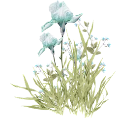 png蓝色花卉花朵鲜花手绘透明免抠素材
@冒险家的旅程か★