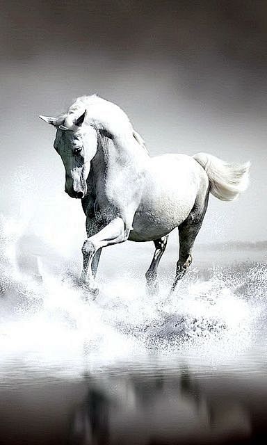 ☀UN PEU DE TOUT........