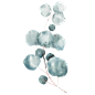 水彩唯美复古欧式古希腊雕塑婚礼请柬装饰花卉免抠PNG (77)