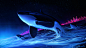 一般 4000x2250 数字数字艺术艺术品插图绘图数字绘画动物鲸鱼逆戟鲸夜空夜空天空景观自然星星繁星夜空星星天空水海灯幻想艺术城市城市景观城市灯光建筑海豚蓝色粉红色