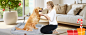 dog beds for large dogs
