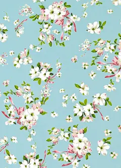 Pink House 春日壁纸 - 小红书