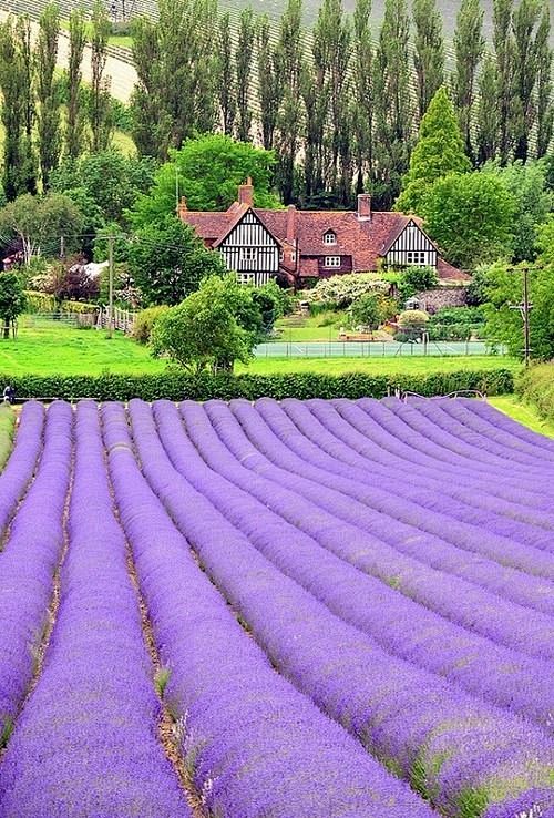 Kent, England