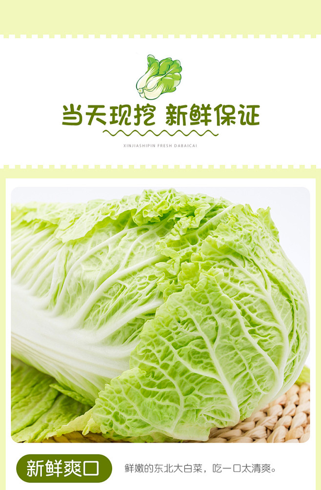 东北大白菜新鲜蔬菜10斤农家菜黄心鲜嫩小...