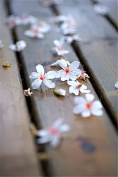 德国建筑撒克逊瑞士国家公园风景壁纸