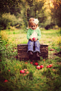 fall mini - apple orchard