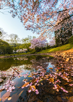 Helen-G采集到风景~